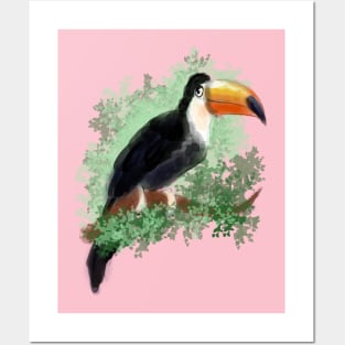 Toucan Posters and Art